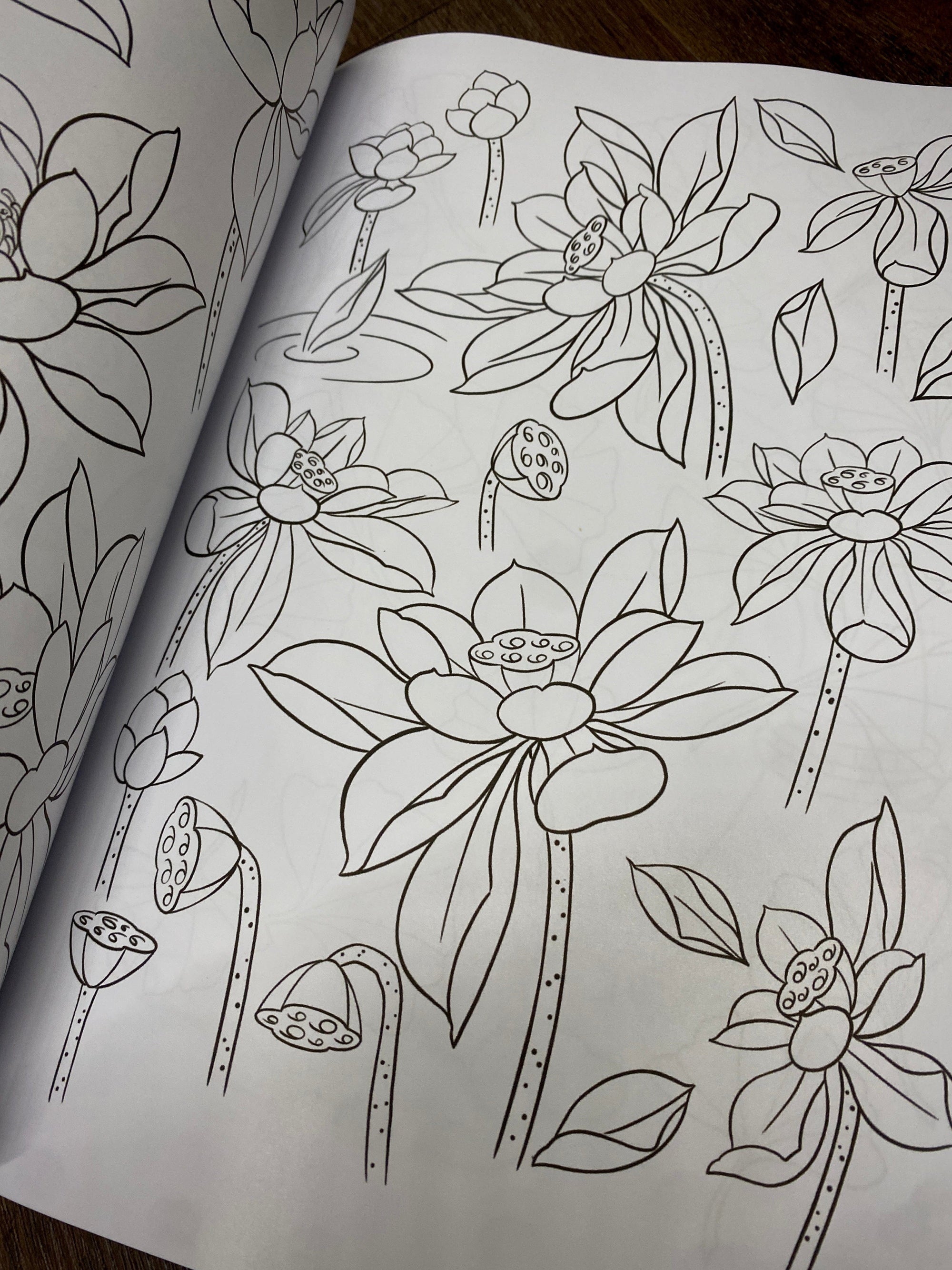 Daniele Tonelli Books Daniele Tonelli Line Drawings Vol.1