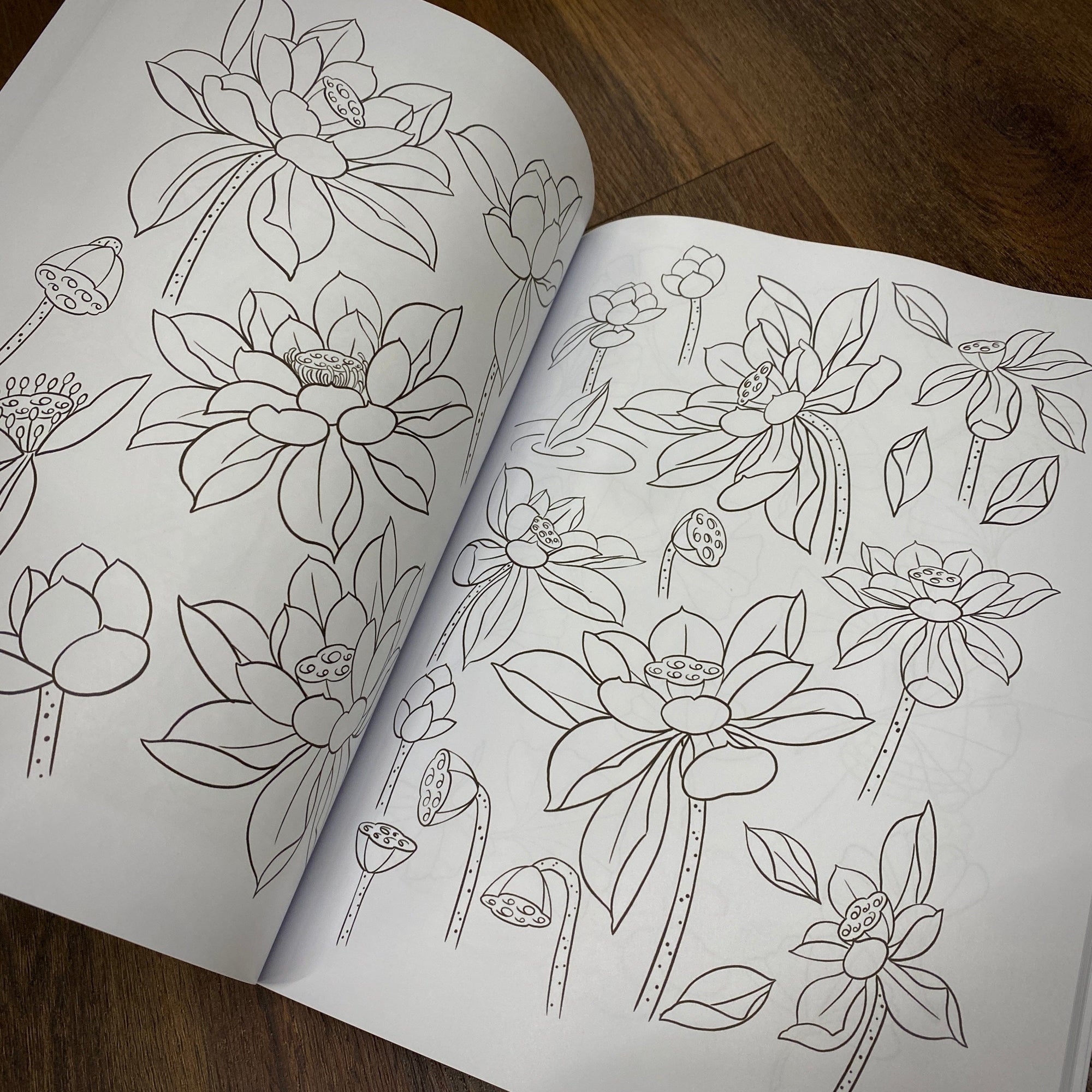 Daniele Tonelli Books Daniele Tonelli Line Drawings Vol.1