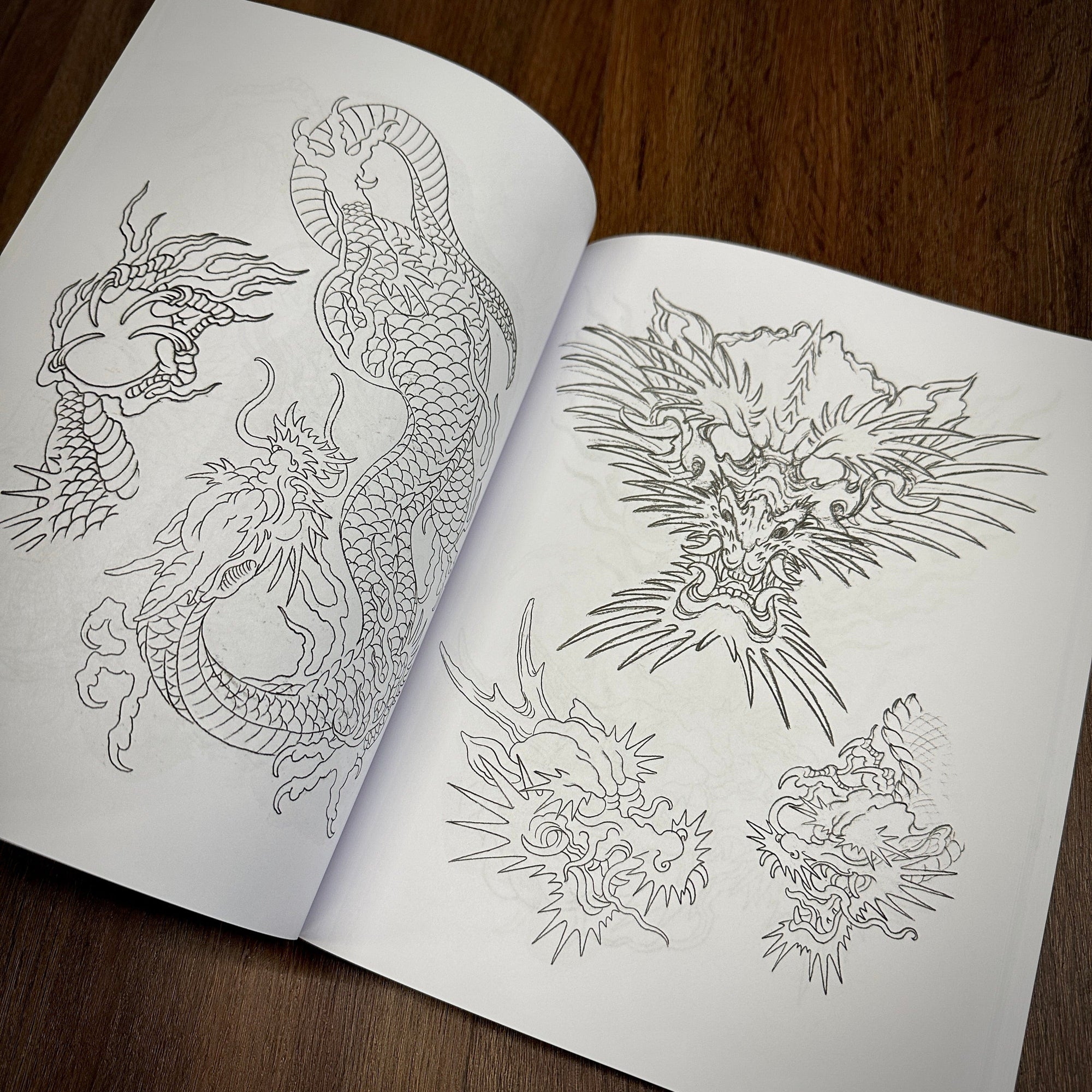 Erik Rieth Books Erik Rieth Dragon Sketches