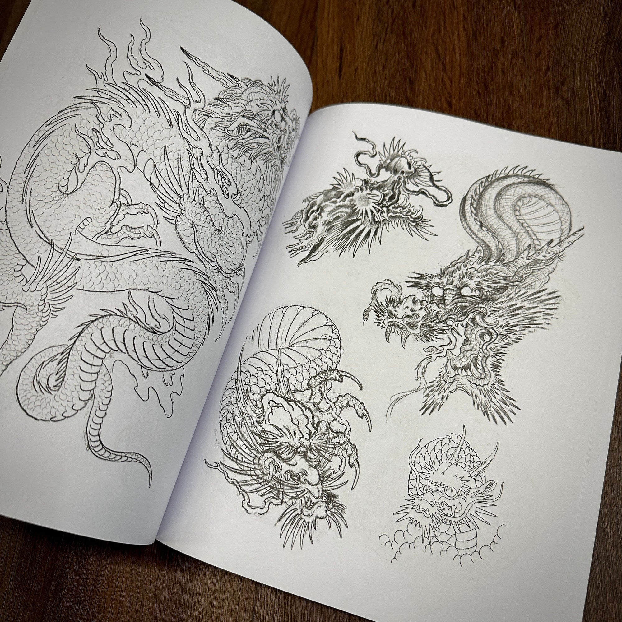 Erik Rieth Books Erik Rieth Dragon Sketches