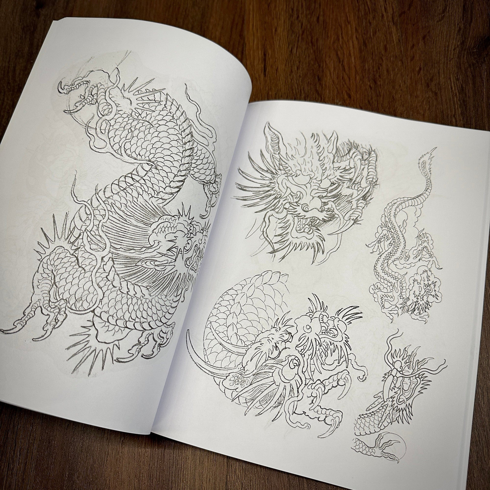Erik Rieth Books Erik Rieth Dragon Sketches