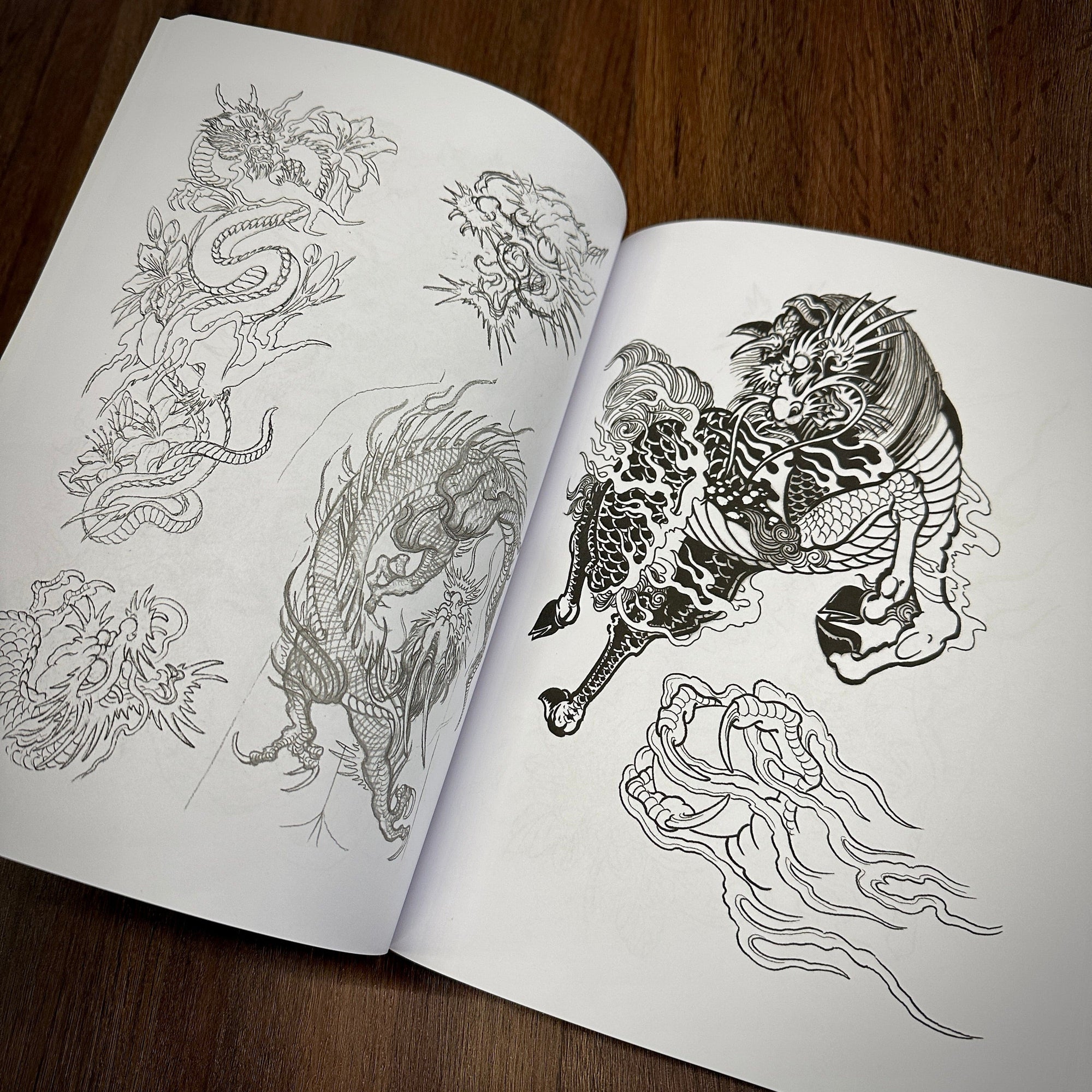 Erik Rieth Books Erik Rieth Dragon Sketches