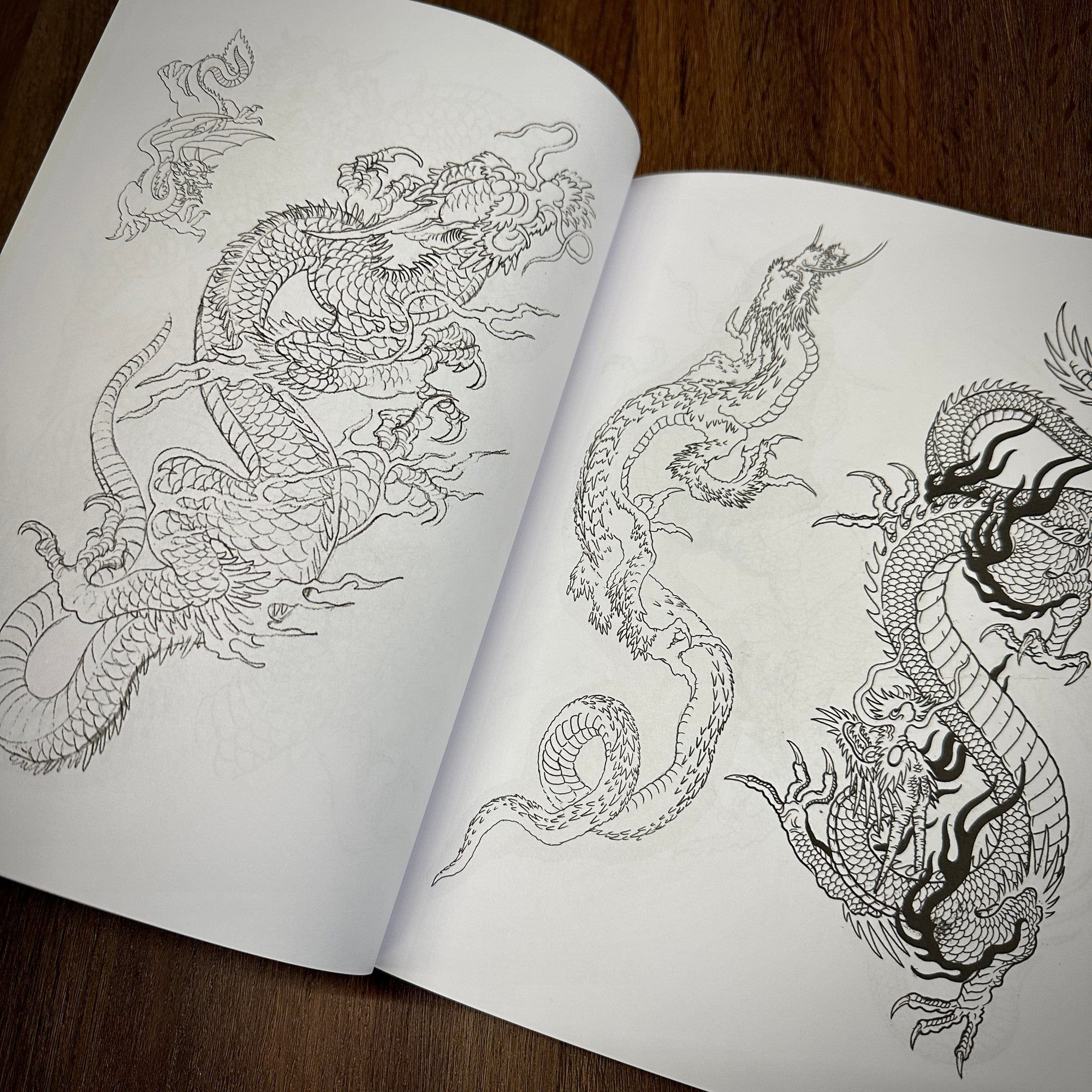 Erik Rieth Books Erik Rieth Dragon Sketches