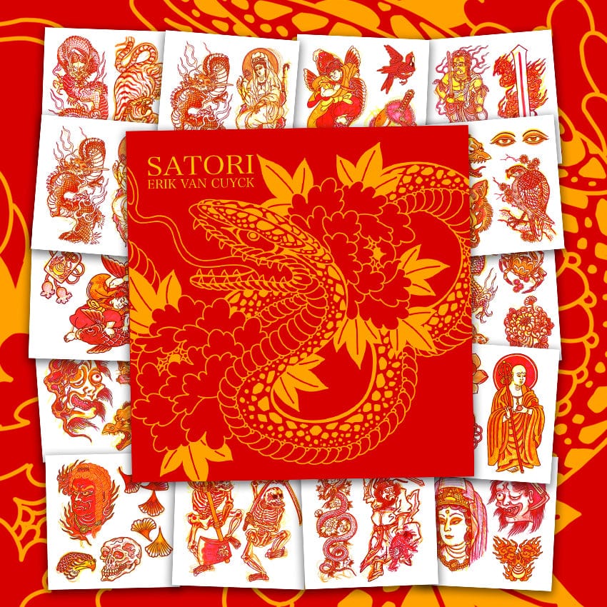 Erik van Cuyck Books Erik van Cucyk - Satori