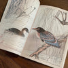 Tattoo Flash Collective Books Japanese Birds