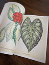 Tattoo Flash Collective Books Les Plantes