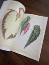 Tattoo Flash Collective Books Les Plantes