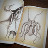 Tattoo Flash Collective Books Octopus and Squid