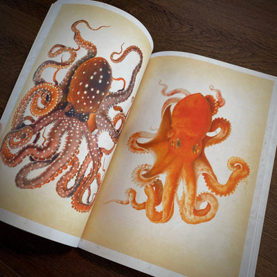 Tattoo Flash Collective Books Octopus and Squid