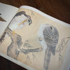 Tattoo Flash Collective digital books Eagle and Hawk ebook