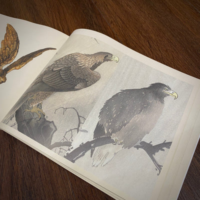 Tattoo Flash Collective digital books Eagle and Hawk ebook