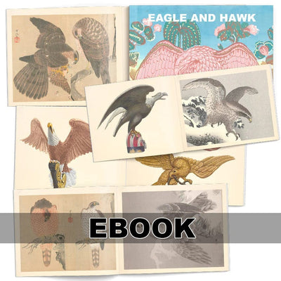 Tattoo Flash Collective digital books Eagle and Hawk ebook