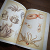 Tattoo Flash Collective digital books Octopus and Squid ebook