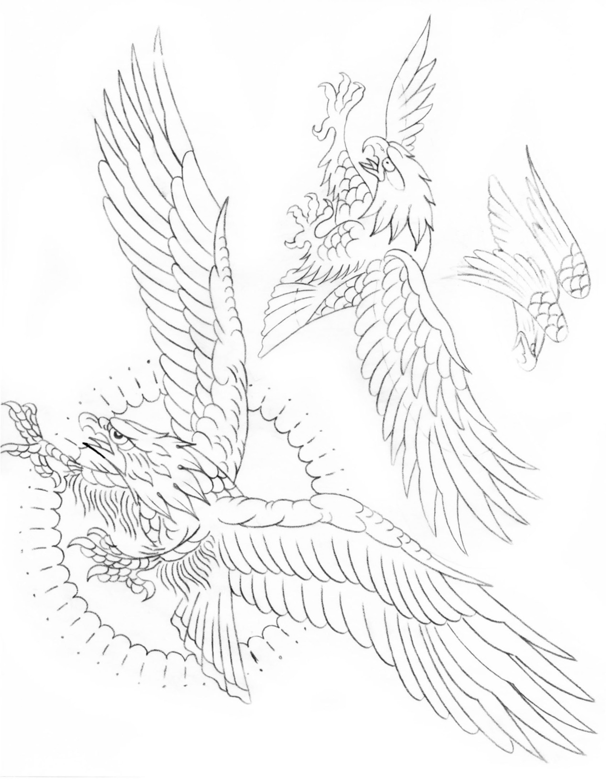 Aaron Francione digital books Aaron Francione Book of lines V1-DIGITAL