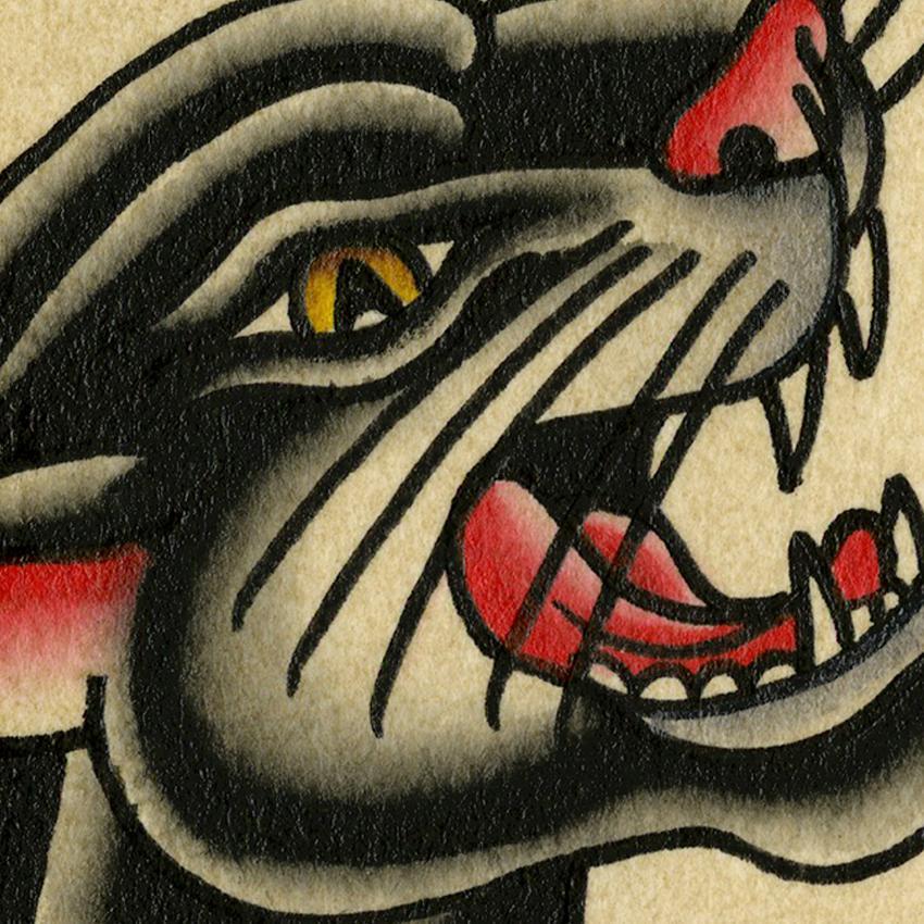 Cory Schofield Flash Cory Schofield #4