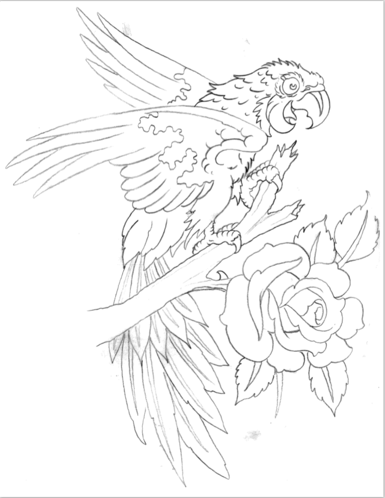 Devin Burnett digital books Devin Burnett Line Drawings Vol.2 Digital download