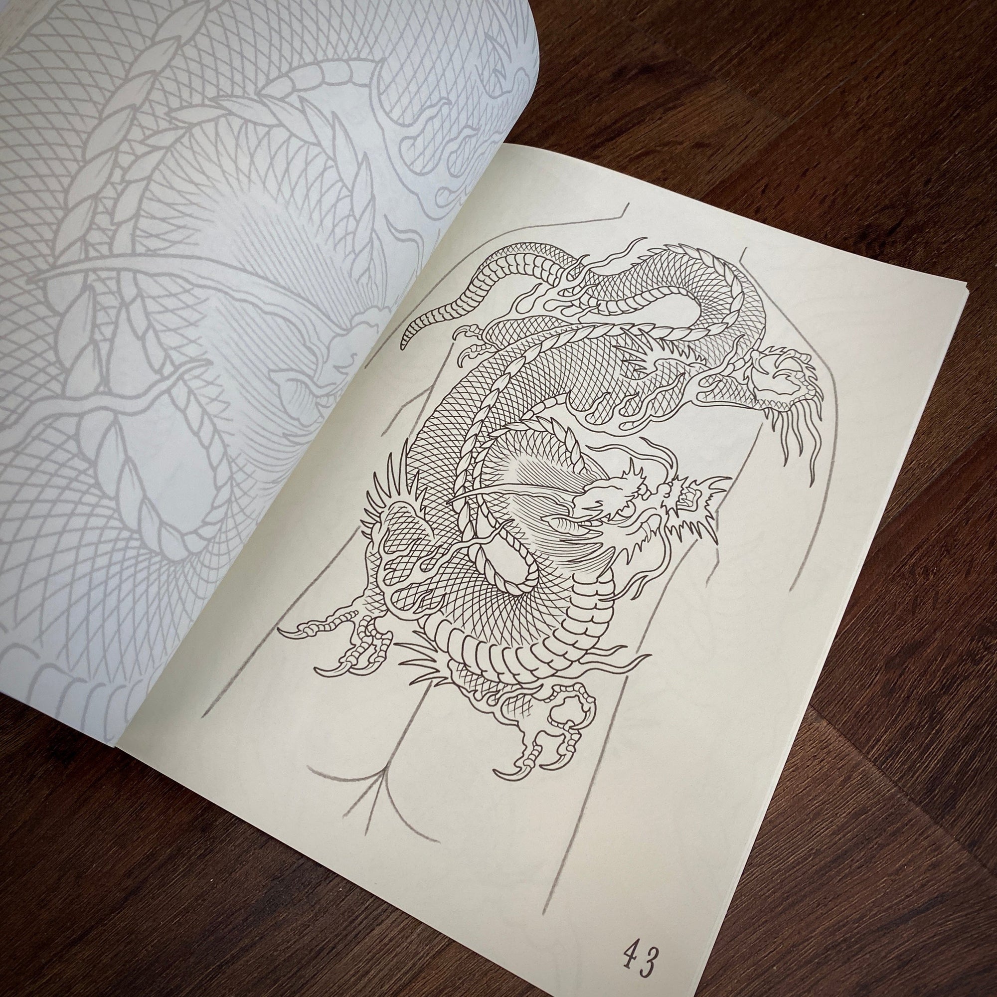 Erik Rieth Books Erik Rieth 50 Dragons