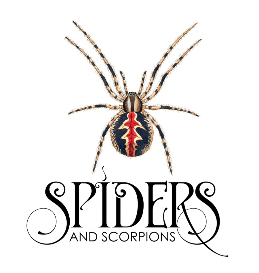 Tattoo Flash Collective Books Spiders and Scoprions