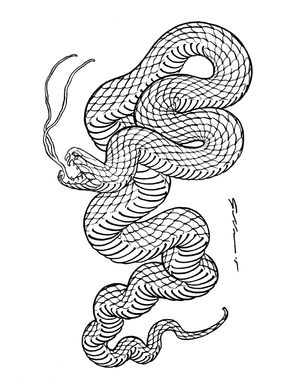 Illustrated Monthly Books Drawn to Scale