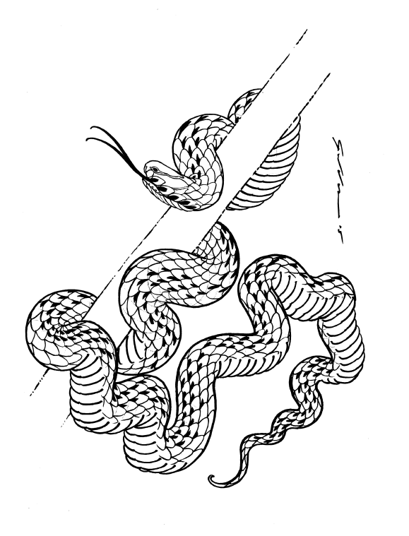 Illustrated Monthly Books Drawn to Scale