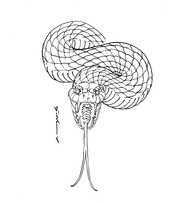 Illustrated Monthly Books Drawn to Scale