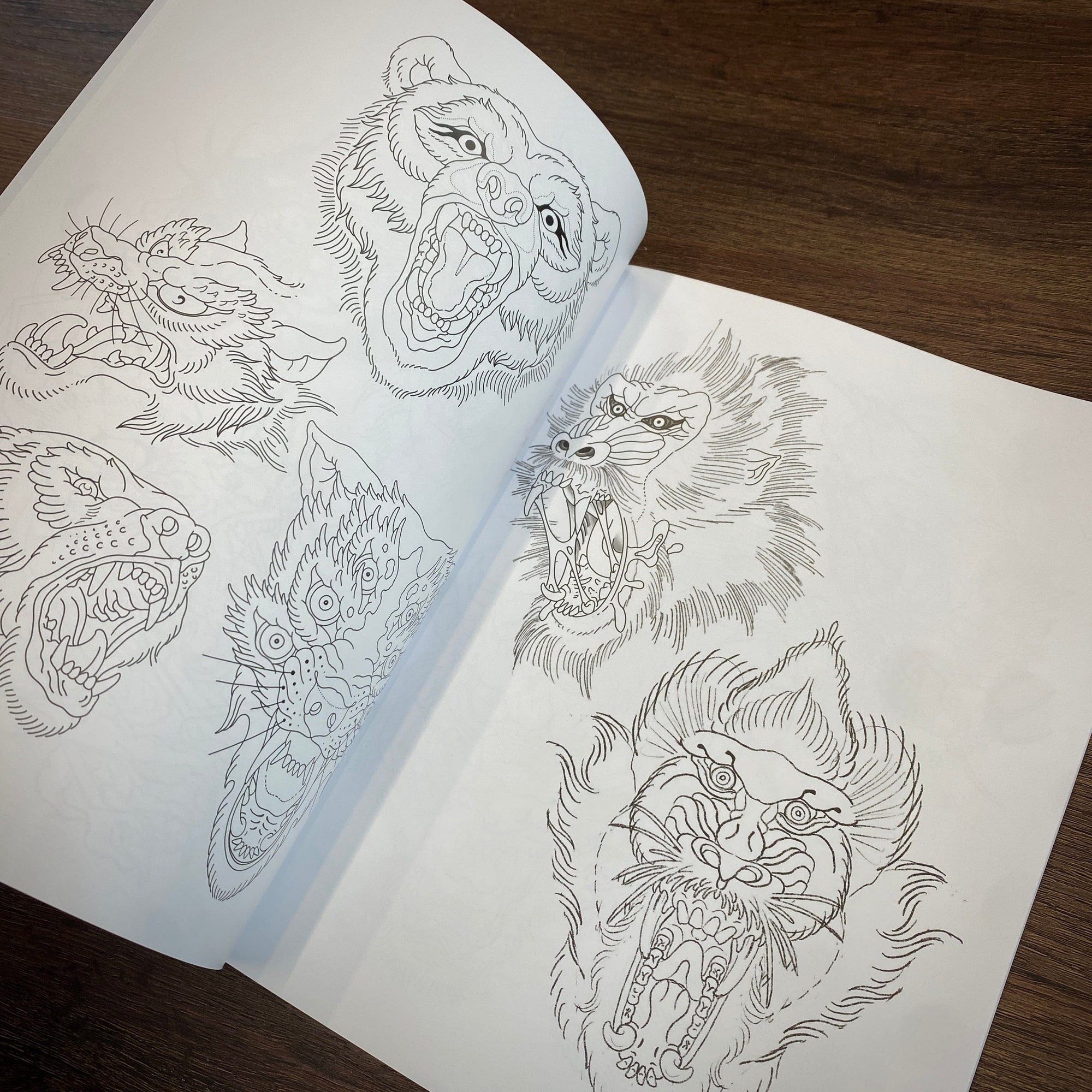 shaun topper Books Shaun Topper Vol.1