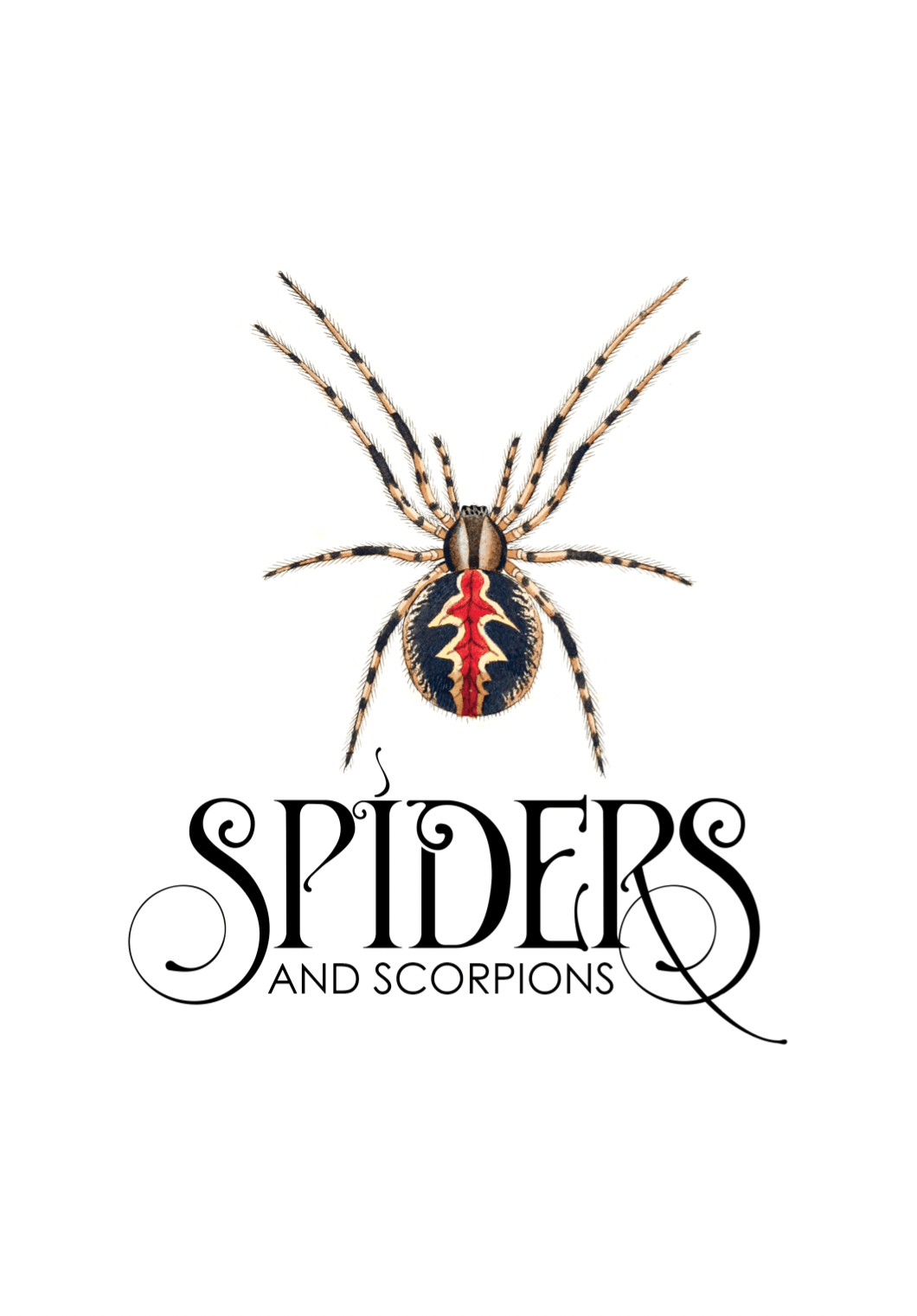 Tattoo Flash Collective Books Spiders and Scoprions