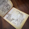 Tattoo Flash Collective Books Hokusai Line Drawings