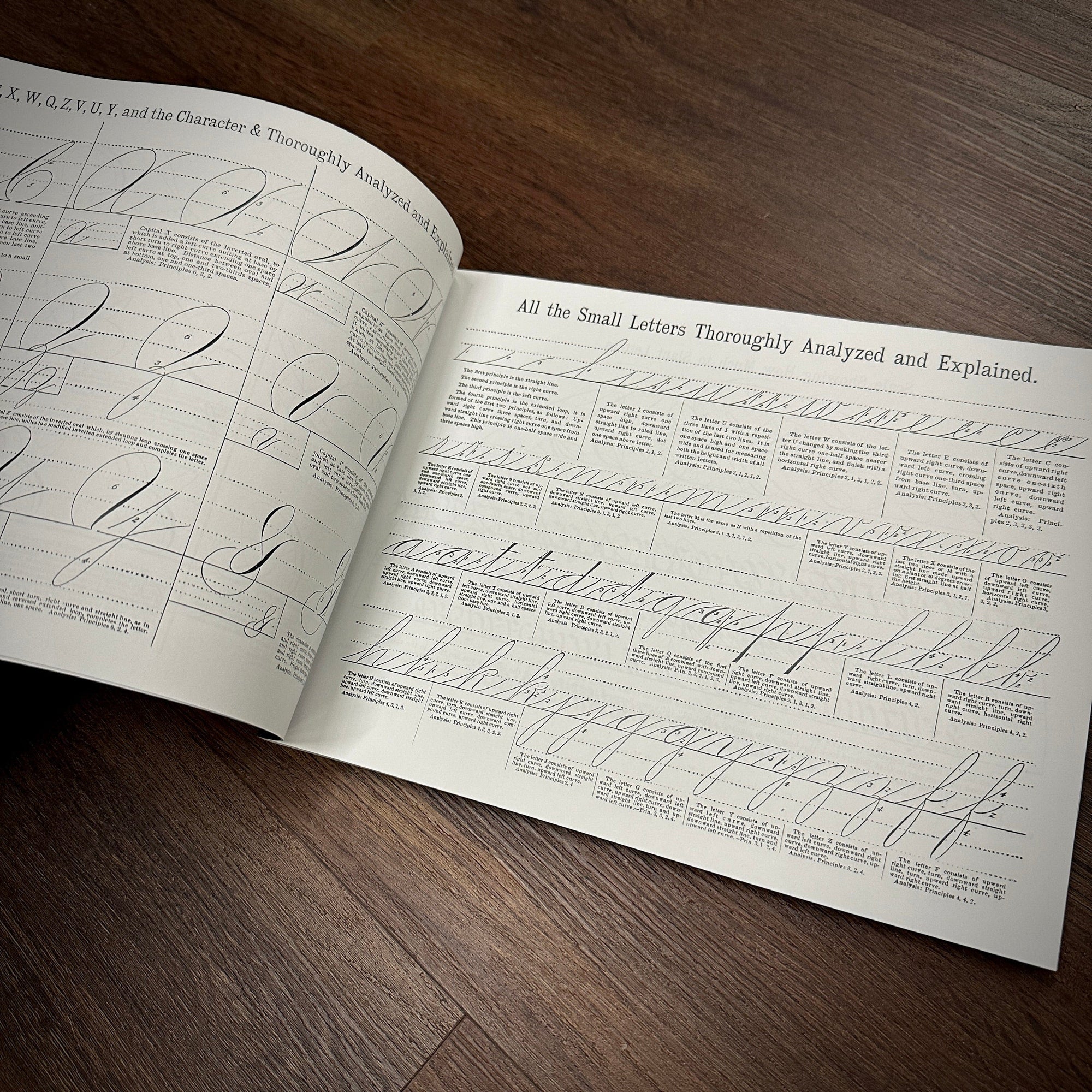 Tattoo Flash Collective Books Sign & Lettering book