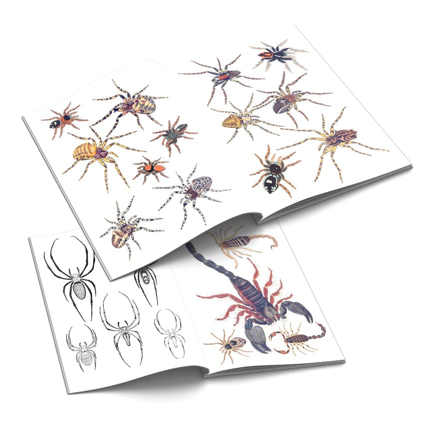 Tattoo Flash Collective Books Spiders and Scoprions
