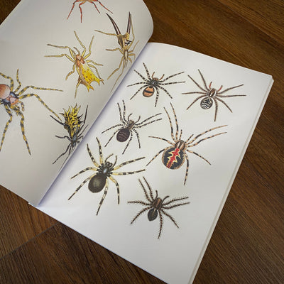 Tattoo Flash Collective Books Spiders and Scoprions
