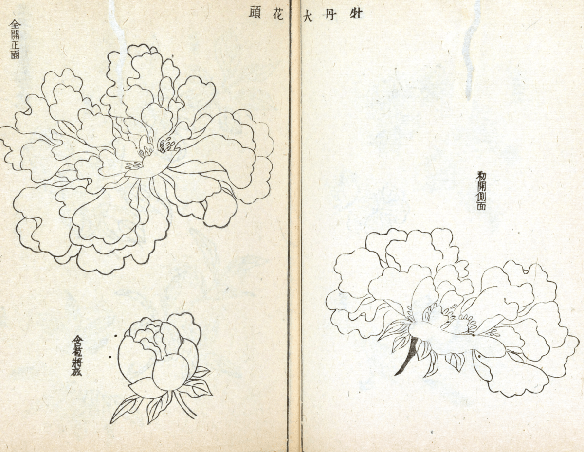 Tattoo Flash Collective digital digital books Cherry Blossoms -DIGITAL