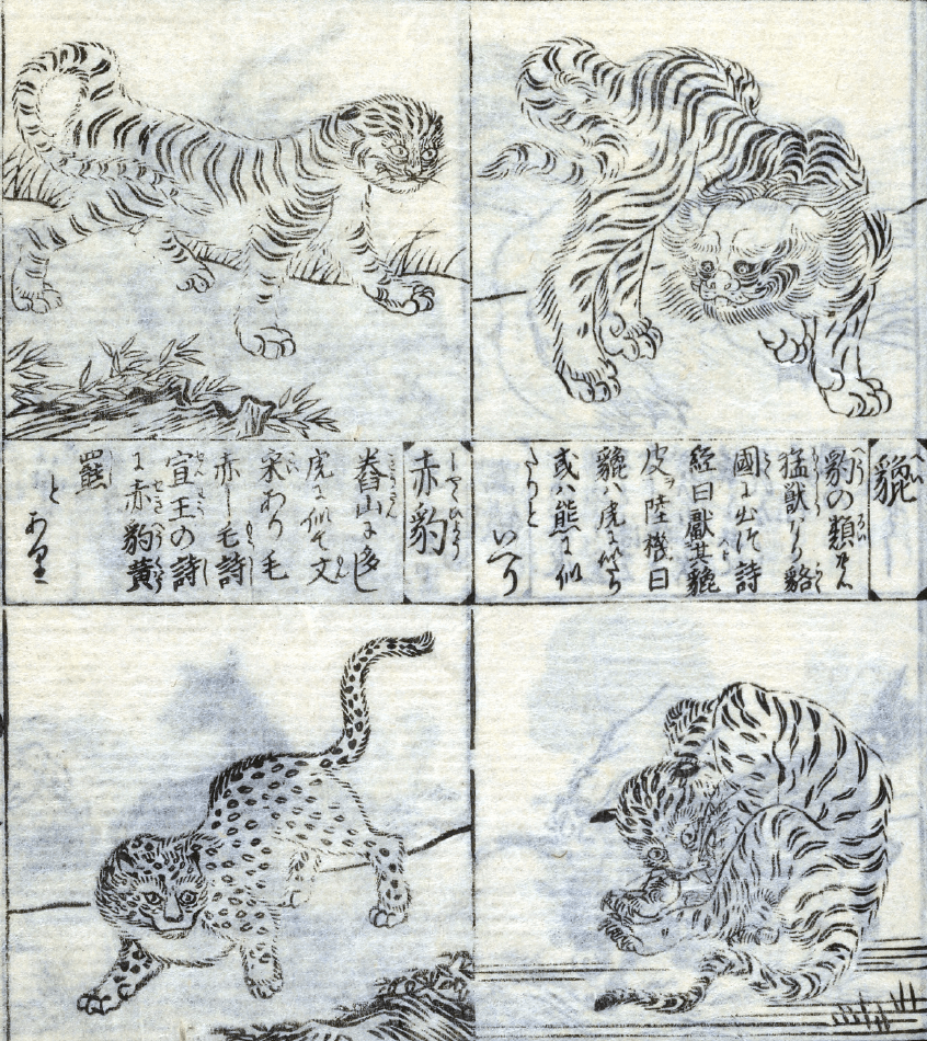 Tattoo Flash Collective digital digital books Japanese Animals & Foliage -DIGITAL