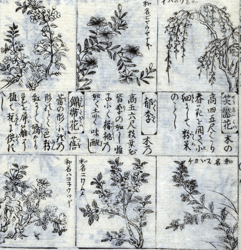 Tattoo Flash Collective digital digital books Japanese Animals & Foliage -DIGITAL