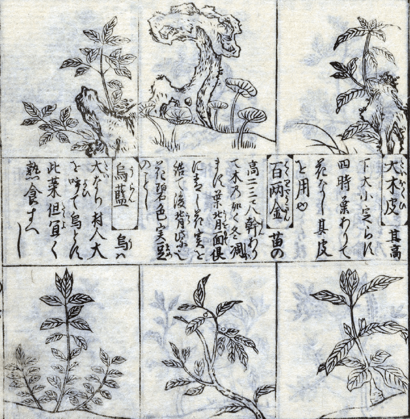 Tattoo Flash Collective digital digital books Japanese Animals & Foliage -DIGITAL